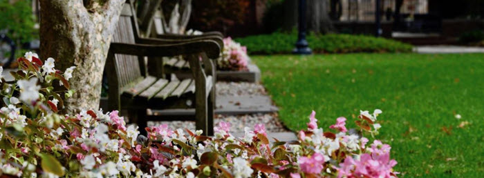 1960 reunion photo bench and flowers