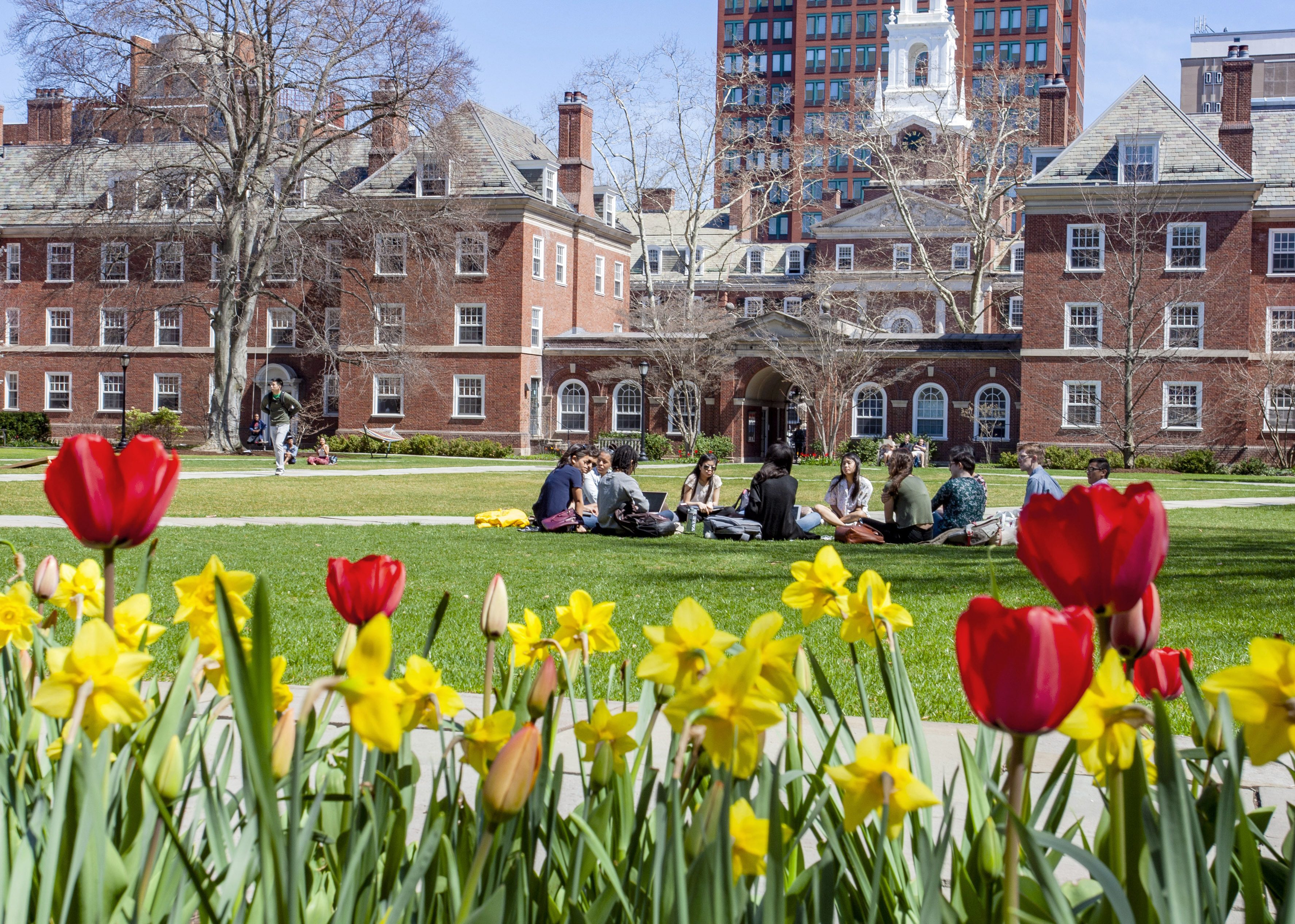 Spring on Campus