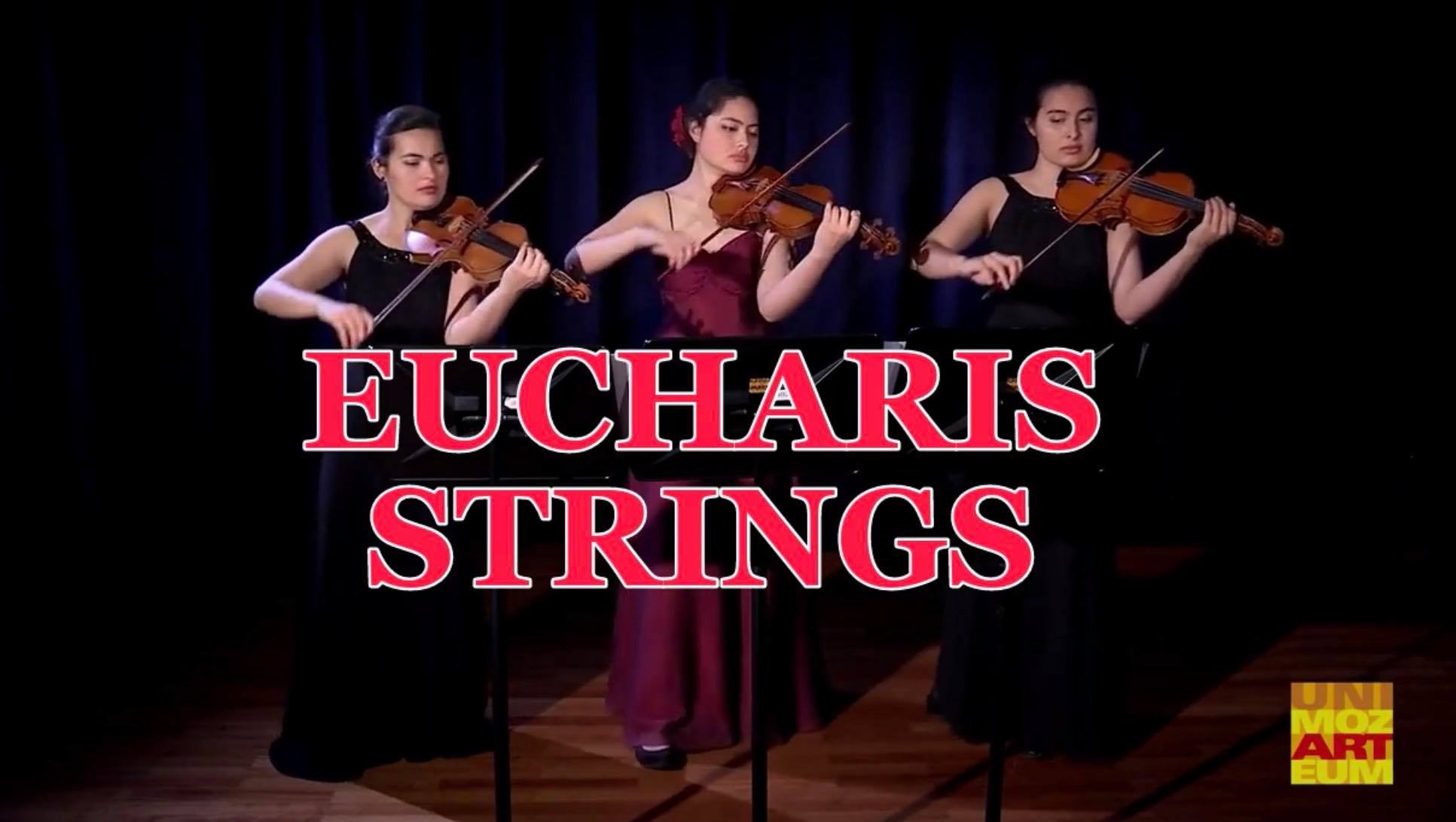 Eucharis Strings