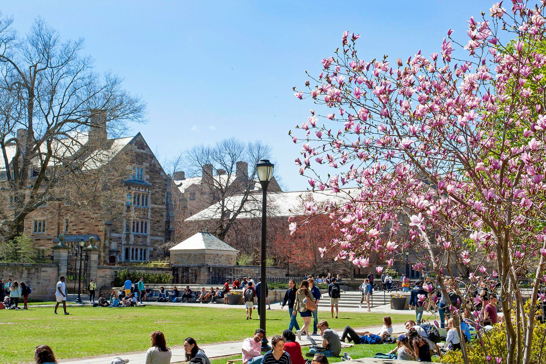 reunions website cross campus