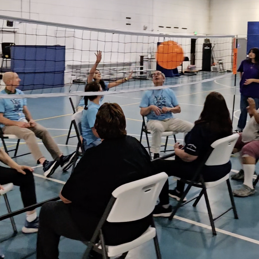 Seated volleyball