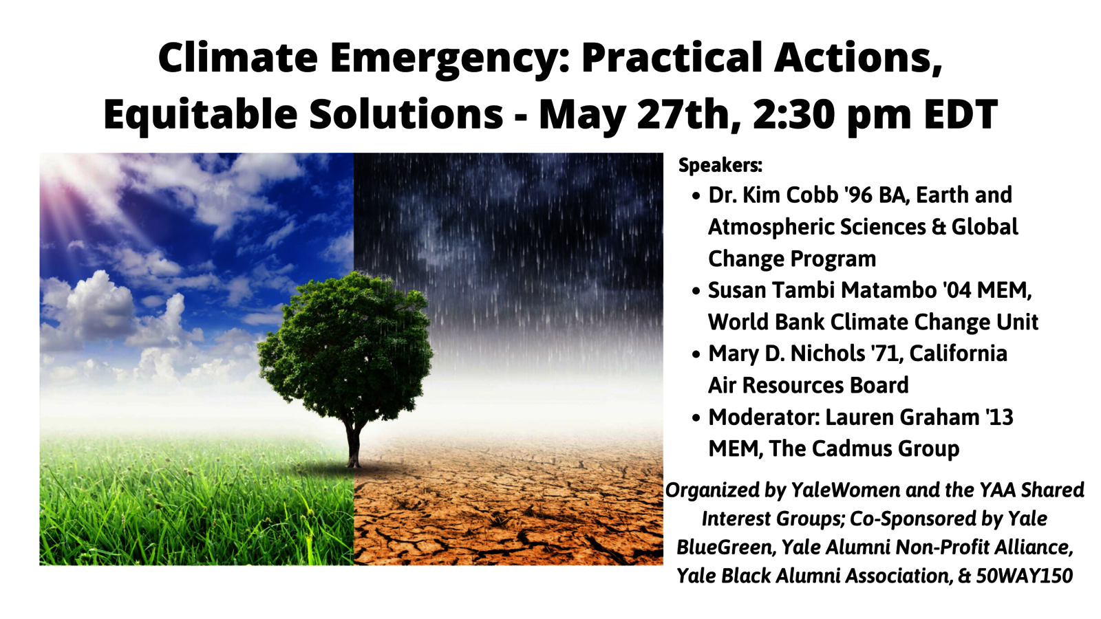 Graphic for the webinar, Climate Emergency: Practical Actions, Equitable Solutions