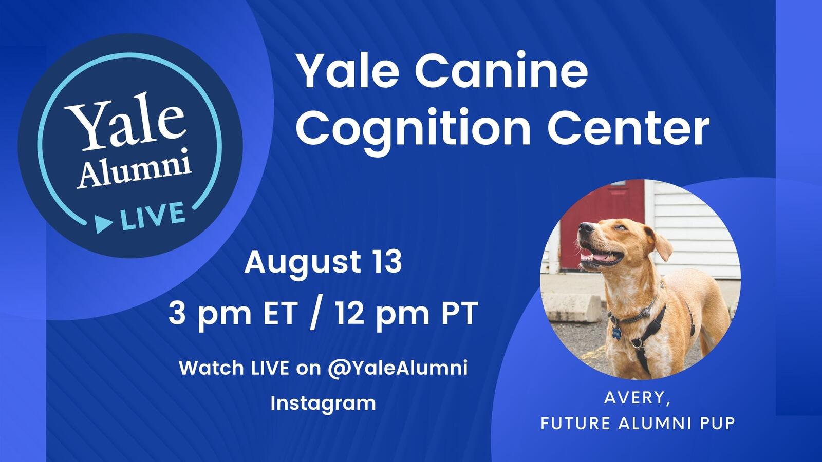 Yale Alumni Live - Canine Cognition Center