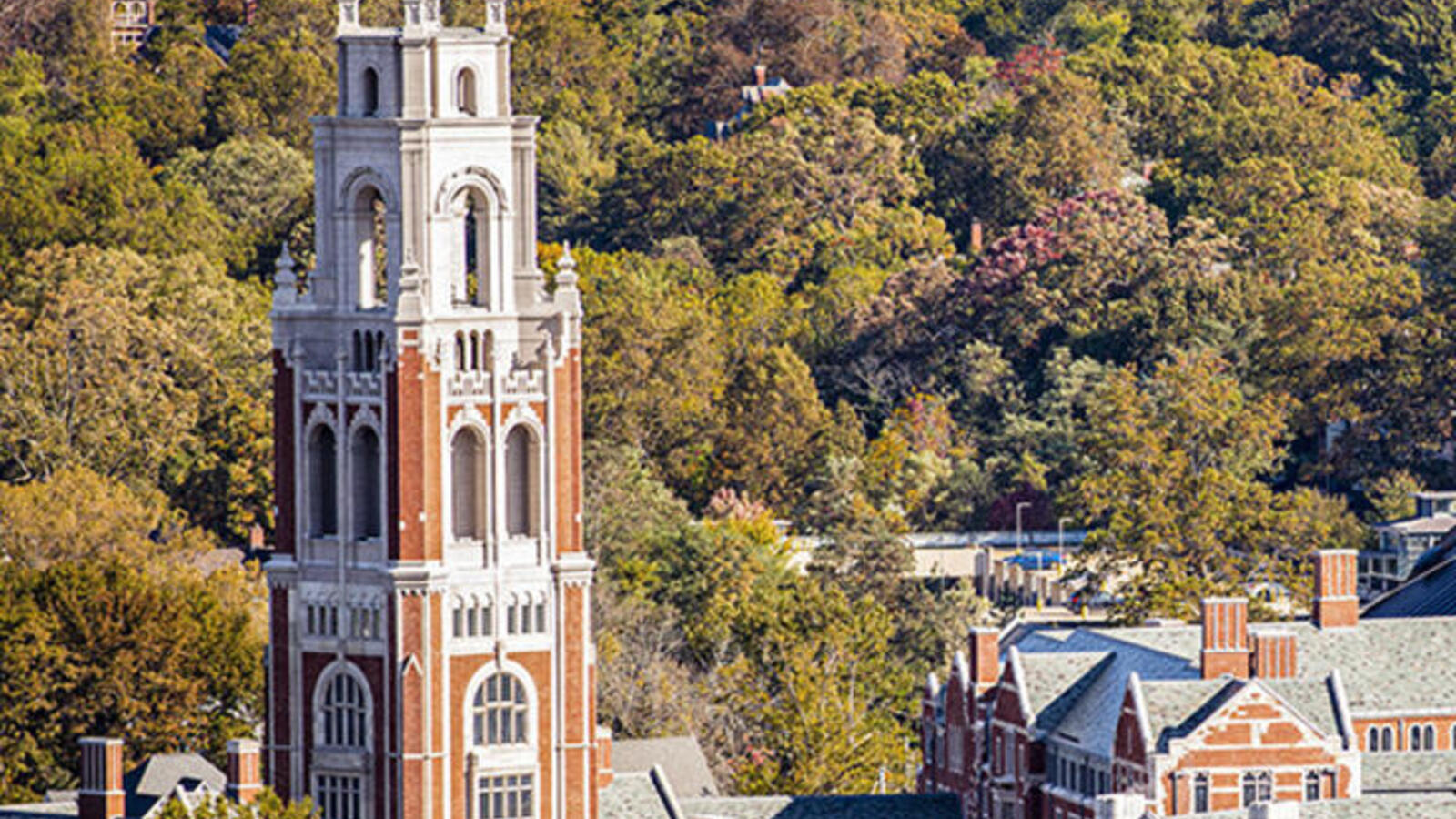 Yale Reunions