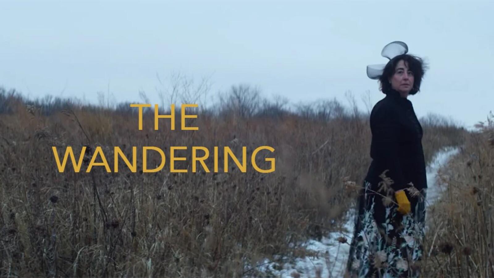 "The Wandering" promotional image