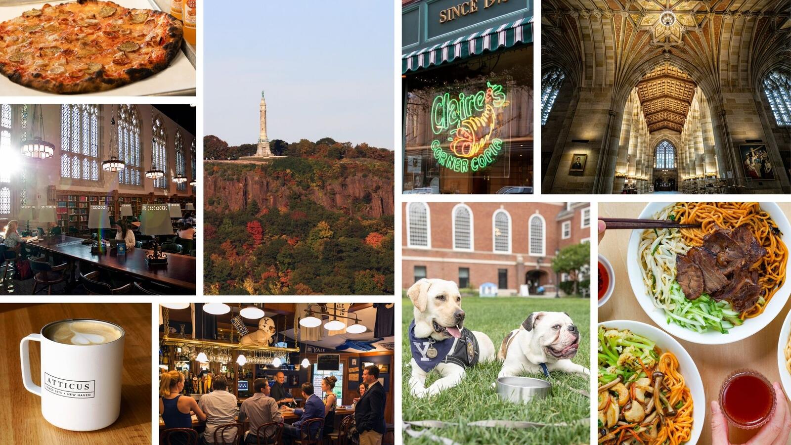 New Haven, Conn.: More Than Just Academics and Mozzarella - The
