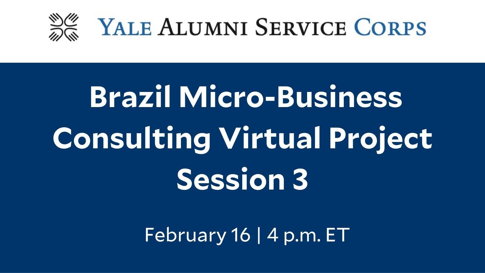 Brazil Micro-Business Consulting Virtual Project – Session 3