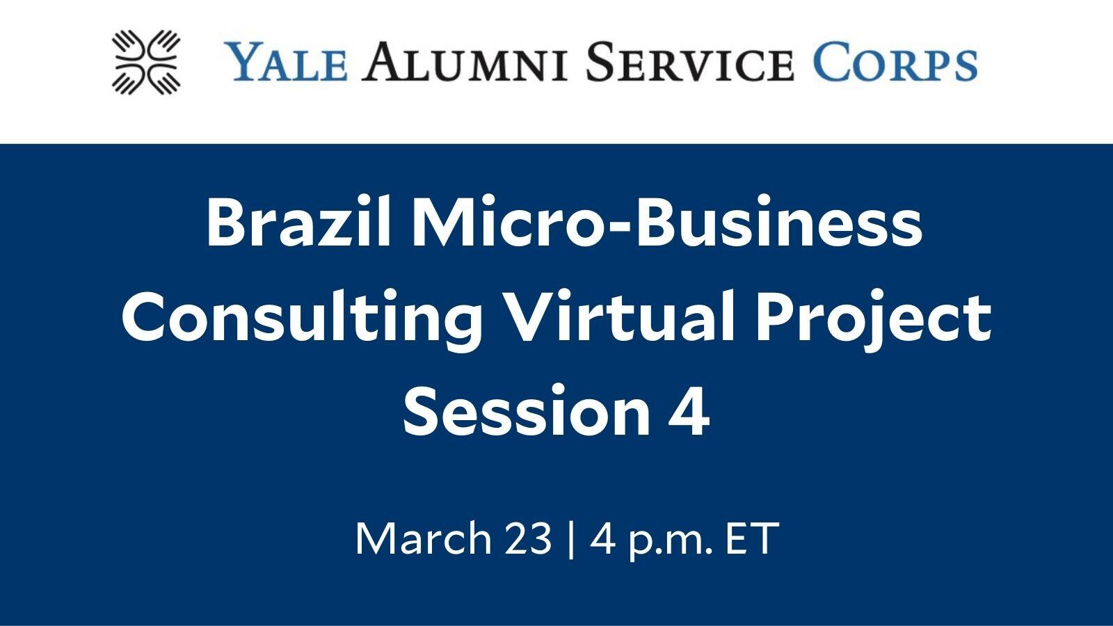 Brazil Micro-Business Consulting Virtual Project – Session 4