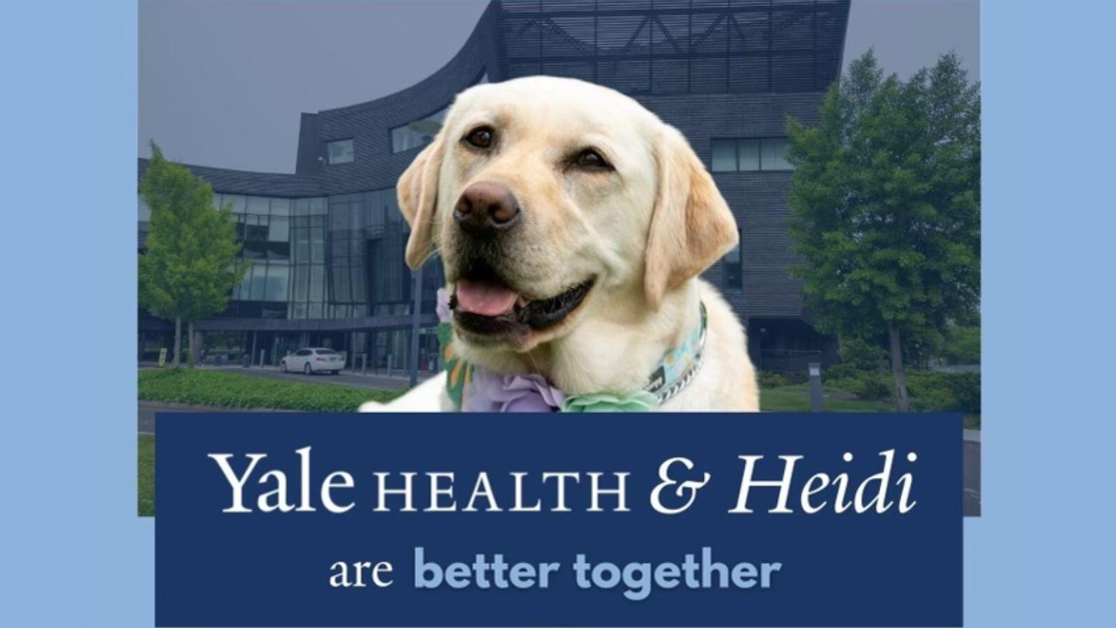 Yale Health and Heidi