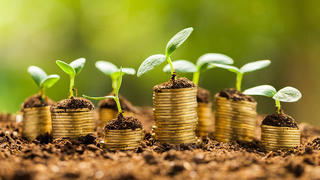 Stock image of plants growing out of coins