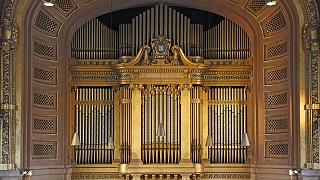 Newberry Organ
