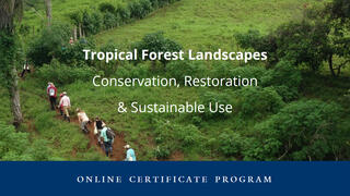 Tropical Forest Landscapes certificate program