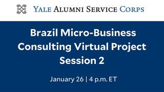 Brazil Micro-Business Consulting Virtual Project – Session 2