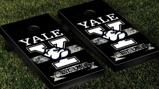 A photo of a Yale themed corn hole game.