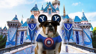Yale in Hollywood Disney