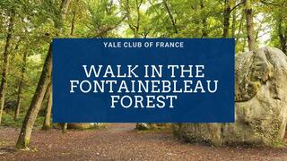 Walk in the Fontainebleau forest