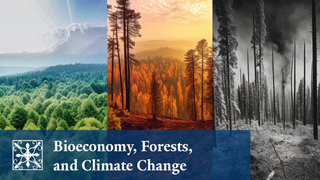 Yale Alumni Academy | Climate Change Conversations: Bioeconomy, Forests, and Climate Change