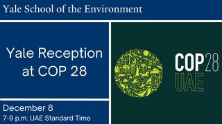 Yale Reception at COP 28