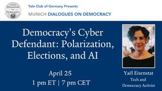 Democracy's Cyber Defendant: Polarization, Elections, and AI