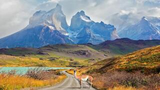 Exploring Chile: from the Atacama Desert to Patagonia
