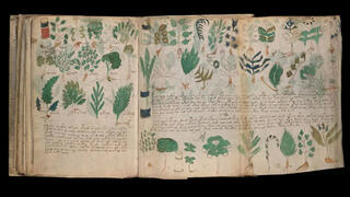 Voynich Manuscript