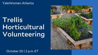 YaleWomen Atlanta Trellis Horticultural Volunteering