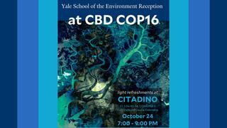 Yale School of the Environment Alumni Reception at Conservation and Biodiversity COP 16 