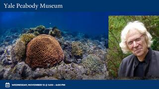 Yale Peabody Museum Bass Distinguished Lecture: Coral Reef Odyssey