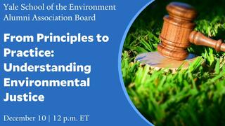 Yale School of the Environment Alumni Association Board | From Principles to Practice: Understanding Environmental Justice