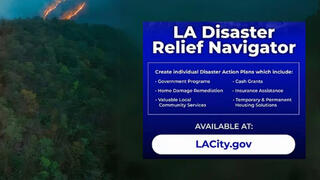 LA Disaster Relief Navigator