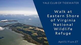 Yale Club of Tidewater Walk at Eastern Shore of Virginia National Wildlife Refuge