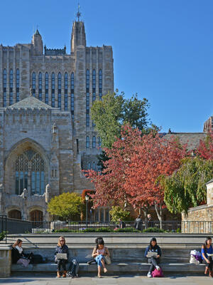 Students study outside Sterling Memorial Library.