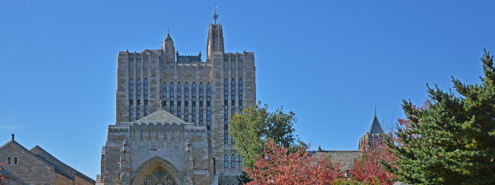 Students study outside Sterling Memorial Library.